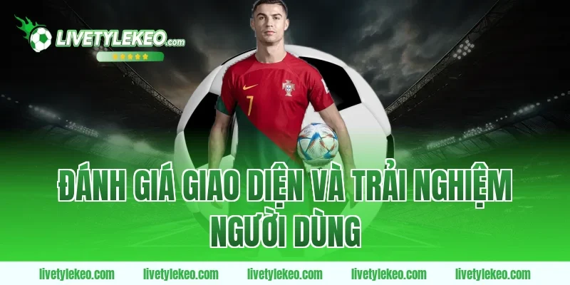 Đánh Giá Giao Diện Và Trải Nghiệm Người Dùng