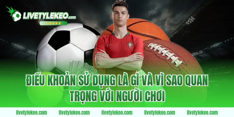 Điều khoản sử dụng là gì và vì sao quan trọng với người chơi